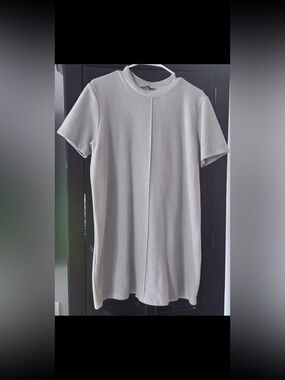 Zara Light Gray Short-Sleeve Crewneck Tee